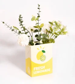 Vase brique de limonade
