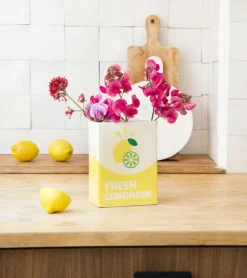 Vase brique de limonade