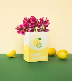 Vase brique de limonade