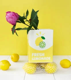 Vase brique de limonade