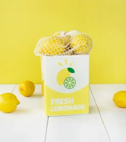 Vase brique de limonade