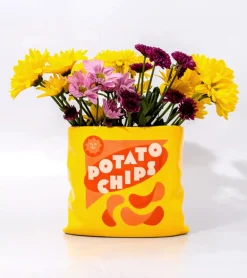 Vase pack de chips