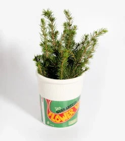 Vase Pot de Nouilles